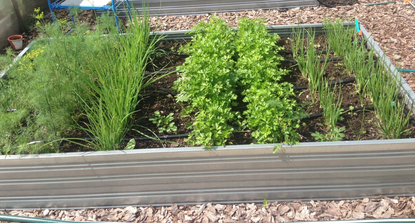 Raised Bed 2M long  x 1M wide  x 300mm high
